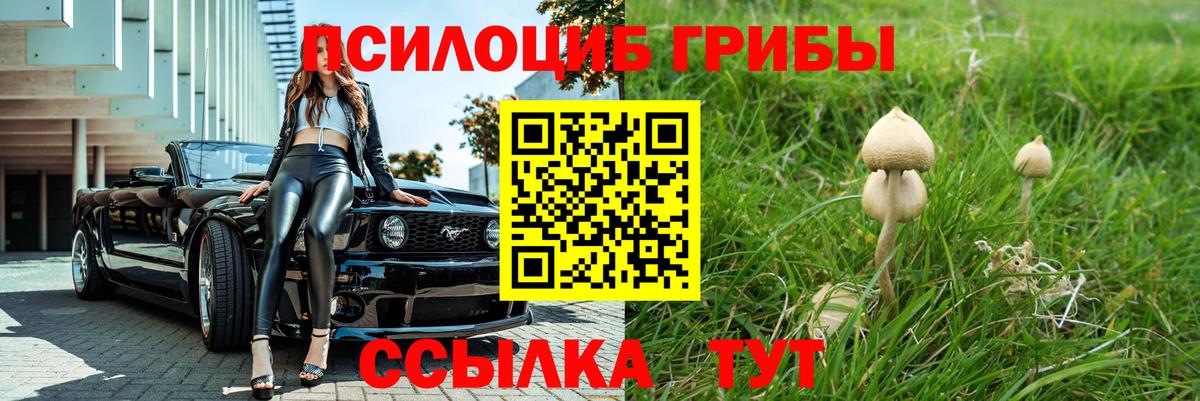 Галлюциногенные грибы Psilocybine cubensis  Псилоцибиновые грибы Psilocybe  Вход с VPN  Глазов 